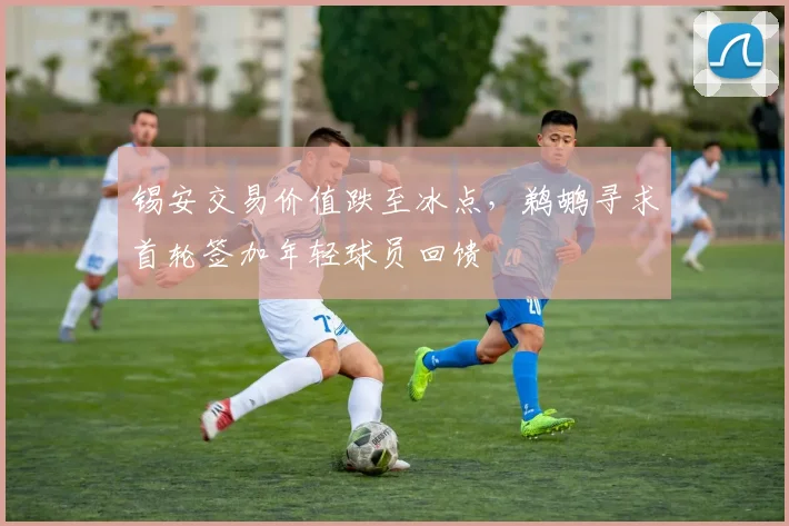 锡安交易价值跌至冰点，鹈鹕寻求首轮签加年轻球员回馈